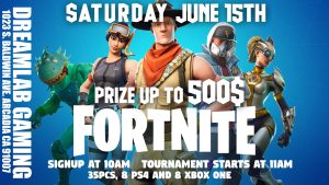 Dreamlab Gaming Fortnite Fights
